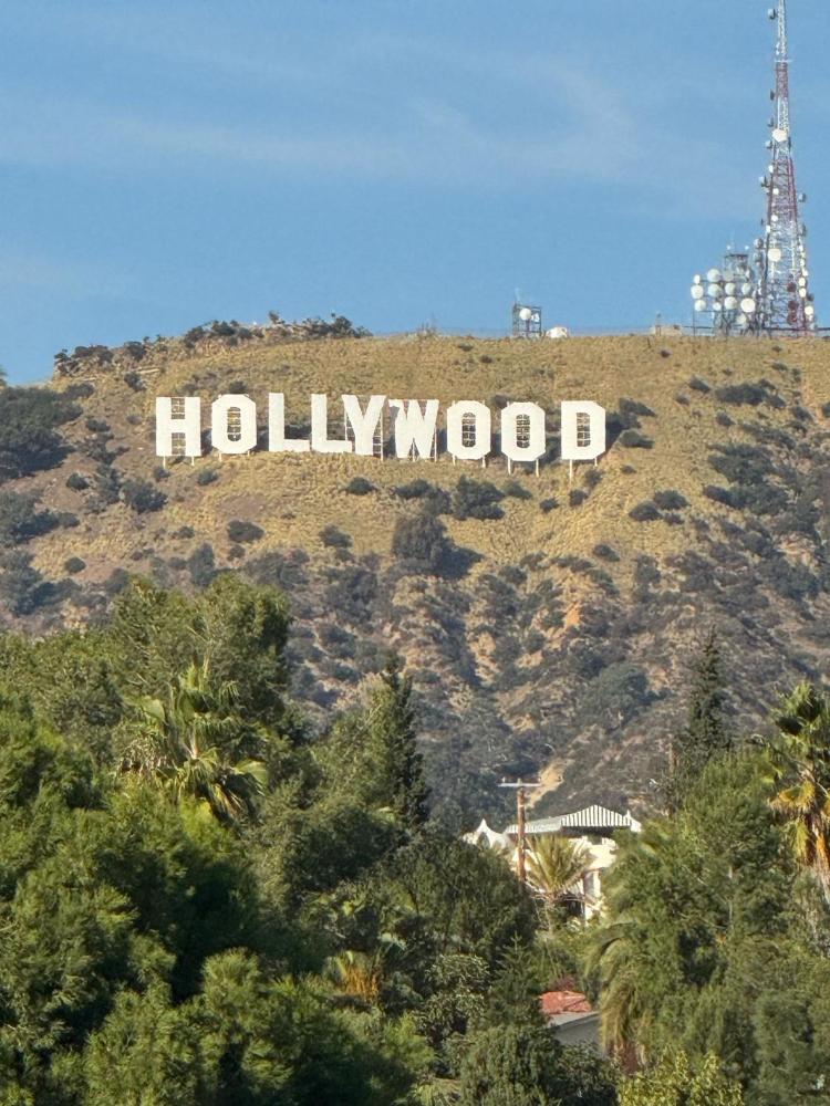 King Hollywood Sign View interior